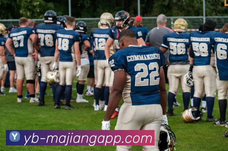 多媒体互动体验