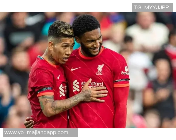 里斯威廉姆斯有望成为科纳特和乔戈麦斯的替补人选